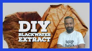 DIY Blackwater Extract: A Step-by-Step Guide Using Almond Leaves #subcribemychannel #blackwater