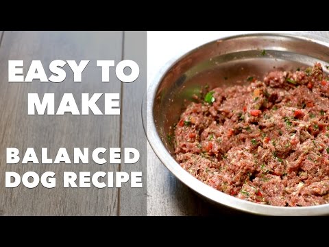 Homemade Dog Food Recipe Homemade Dog Food Recipe