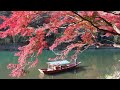 japanese hotchiku flute for relaxing meditation music to relax collection focus at work and study