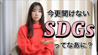 【今さら聞けない】SDGsってなあに？