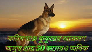 করিমগঞ্জে কুকুরের আক্রমণ। অসুস্থ প্রায় 50 এর অধিক ।