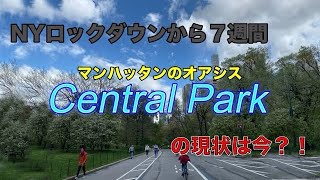 【ニューヨークの実態】NYロックダウン７週間目 セントラルパークは今どうなってる?! コロナウイルスの影響は?!