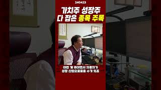 가치주 성장주 두 마리 토끼를 다 잡은 이 종목 주목하세요