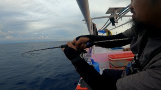 50 Mil LAUT dari Kota Majene - Kalor PART 2