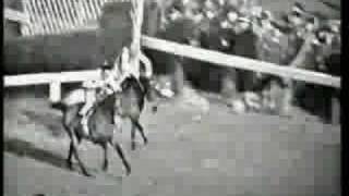 Arkle 1964 Cheltenham Gold Cup