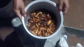 របៀបបំពង ដួងដូង រឺត្នោត  How to Cooking Coconut Worm