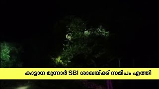 മൂന്നാര്‍ ടൗണില്‍ വീണ്ടും കാട്ടാന ഇറങ്ങി | Munnar | Wild Elephant |