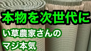 本物を次世代に！い草農家さんから学ぶ和の伝統　igusaからtatamiへ