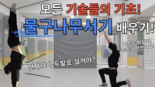 물구나무서기 안전하고 정확하게 하는 방법! 물구나무 잘 서는 방법!