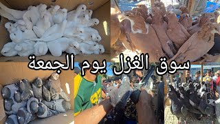 سوق الغزل يوم الجمعة الوكفة الخاصة بالحمام مطيار وحمام زينة انواع كثيرة 2024/10/25