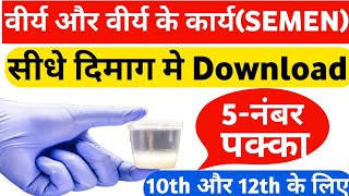 वीर्य और वीर्य के कार्य/ function of semen By:-Upendra sir