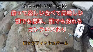 えむでテレビジョン136　釣って楽しい食べて美味しい　誰でも簡単、誰でも釣れる　ガシラの穴釣り　ロックフィッシュゲーム　「＃穴釣り」「＃ガシラ釣り」