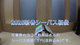 『釣りみつっくま』　2025シーバスルアー福袋　開封