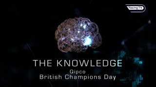 The Knowledge - QIPCO British Champions Day Preview Show - Racing TV