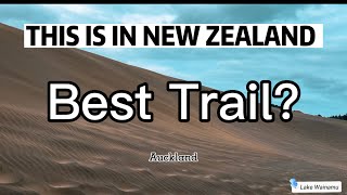 Best Trail in Auckland ? - Lake Wainamu