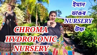 Chroma Hydroponic Nurseries Tour Dibrugarh||The Biggest Nursery In Upper Assam||Nursery Tour||