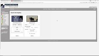 Digital Horses Transfer Ownership