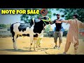 Note For Sale  - Nedeem ka challenge - Qurbani 2024 - Bakra Mandi 2024 - home visit