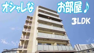 新築 マンションオシャレな３LDK賃貸  岡山市北区北長瀬表町