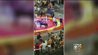 6 Children, 1 Adult Injured After Camel Is Spooked At Shrine Circus