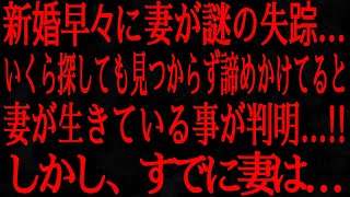 【修羅場】結婚して1ヶ月で妻が突然失踪 → 8年後、彼女はもうこの世にいないと思っていたが、実は生きていた…しかし、その後の真実はさらに衝撃的だった！