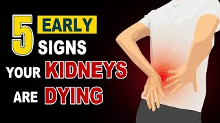 Avoid Dialysis: 5 Early Signs of Kidney Damage You Must Not Ignore
