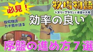 【牧場物語】効率の良い序盤の進め方＆大事なポイントを徹底解説！【オリーブタウンと希望の大地】【攻略】【初心者】