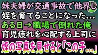 【感動する話】両親が他界し妹と暮らしていた俺。ある日、妹夫婦が交通事故に遭い姪を引き取り育てることに。育児疲れを心配する女上司に姪の写真を見せると、彼女「この子って…」【泣ける話】