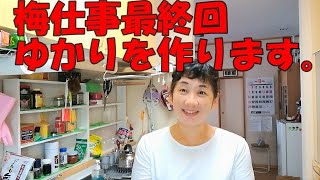 【梅仕事】最終回ゆかりを作ります。