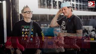 Blink-182 have replaced Frank Ocean as Coachella headliners!