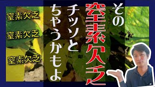 なんで欠乏がでるのか？一つの解として○○があります【農業 収益UP】