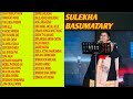Sulekha Basumatary Non Stop Hit Collection Songs || Bodo Songs || Old Bodo Collection Songs.720p