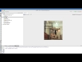 Python Programming: Adding an Image to your GUI