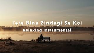 Tere Bina Zindagi Se Koi | Instrumental Music For Relaxing