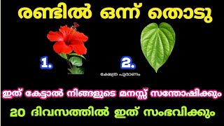 ഇത് കേട്ടാൽ നിങ്ങളുടെ മനസ്സ് സന്തോഷിക്കും 20 ദിവസത്തിൽ ഇത് സംഭവിക്കും. thodukuri shastram. തൊടുകുറി