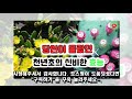 당신이 몰랐던 천년초의 신비한 효능 share 건강정보