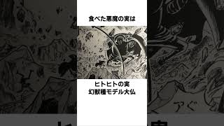 センゴクに関する面白い雑学　　#雑学     #ワンピース　#センゴク　#アニメ