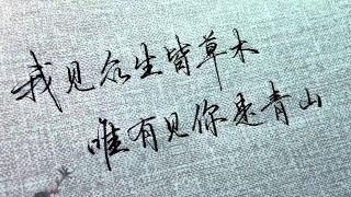 我见众生皆草木，唯有见你是青山 #练字 #行书 #手写