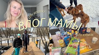 8. БУДНИ МАМЫ | ЗАКУПИЛА ПРОДУКТЫ | ВЫБИРАЮ КВАРТИРУ ДЛЯ ИНВЕСТИЦИЙ