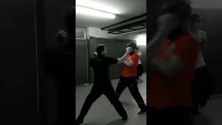 Wing Chun fighting