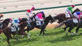 現地レース映像　2017年12月9日　中京競馬　4Ｒ　障害未勝利　ショウナンアリスト