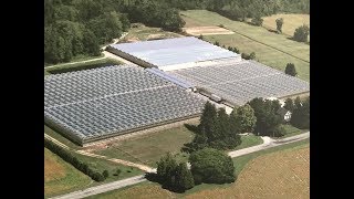 Greenhouse for Sale - 38 acre Property + 3 Houses, Ontario