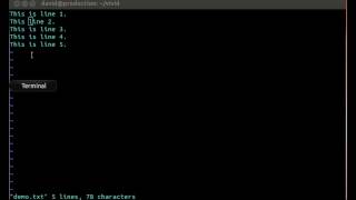 Vi Editor How to replace text