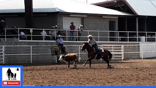 Steer Roping 1st Go  🐂 2021 Spicer Gripp Memorial Roping