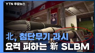 北 첨단무기 과시...요격 피하는 소형 新 SLBM 눈길 / YTN