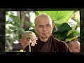 Bài phỏng vấn thiền sư Thích Nhất Hạnh chấn động phương Tây