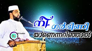 നീ ഗർഭിണിയാണെന്നറിഞ്ഞാൽ  SUB: NE GHARBINIYANENNARINHAL