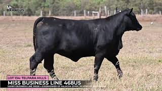 Lot 134  Telpara Hills Miss Business Line 468U5