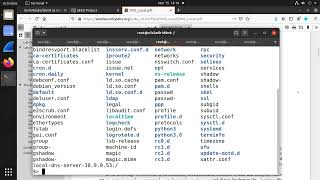 Lab09: SEED 2.0 Local DNS Attack Lab