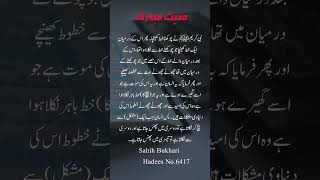 Sahih Bukhari Hadees No.6417 | Bukhari Shareef in Urdu | #youtubeshorts #islamicvideo